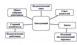 Структура МБДОУ г. Астрахани № 124